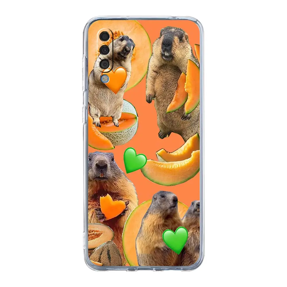 Чехол для телефона Marmot Samsung A54 A52 A50 A70 A10 A30 A40 A20S A20E A02S A12 A14 A16 A22 A24 A42 A34 A32 5G A04s A06 Cover