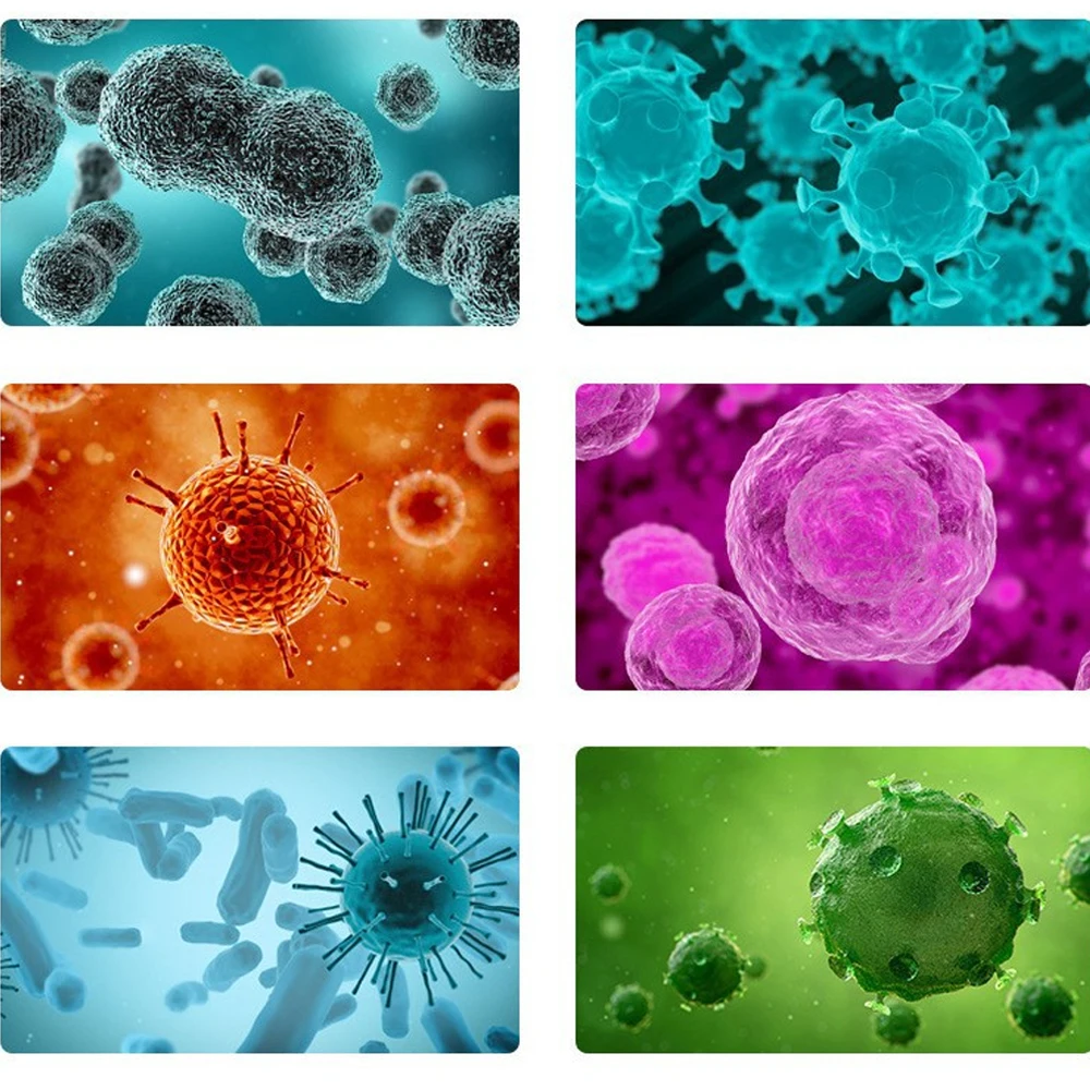 Фото 40X-4000X монокулярный оптический Биологический микроскоп для начальной школы детская научная экспериментальная сперма преподавание биологии подарок №4