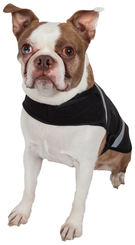 

2022Extreme Neoprene Multi-Purpose Protective Shell Dog Coat