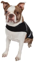 2022extreme neoprene multi purpose protective shell dog coat