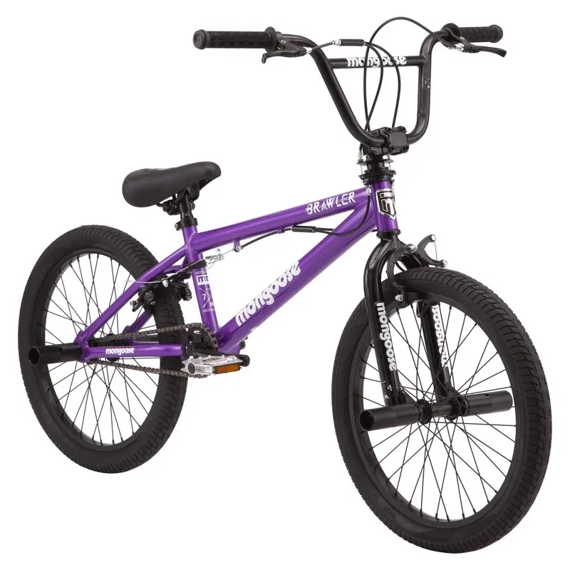 

Durable 20" Single Speed Purple BMX Freestyle Bike for Girls of High Quality