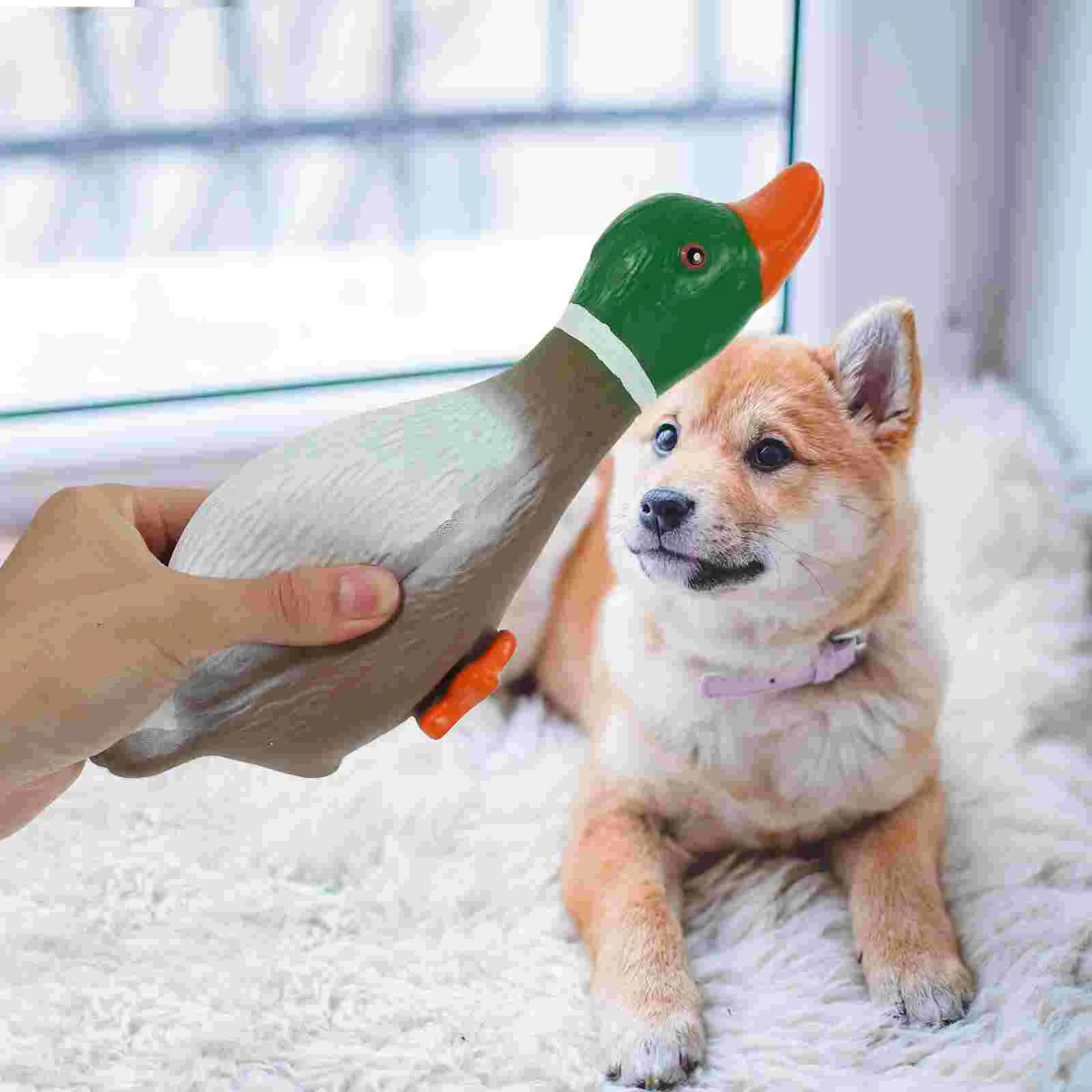 

Dog Molar Plaything Squeaky Teething Toy Shaped Chewing Toy Funny Toy