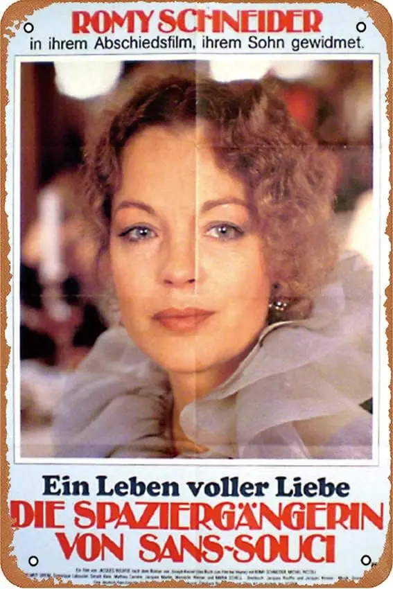 Passerby The/La Passante du Sans-souci Style B Металлическая жестяная вывеска из фильмов 8x12 дюймов