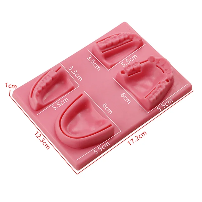 Силиконовая Модель Для Обучения Наложению Зубов Комплект Практики Наложения