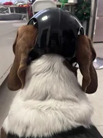 Шлем для собаки #1