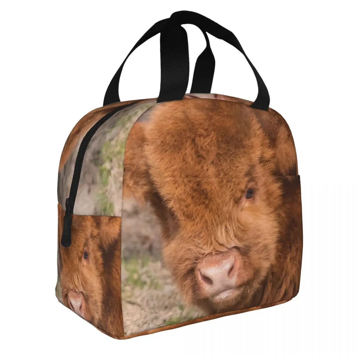 Scottish Highland Baby Coo Lunch Bento Bags Portable Aluminum Foil thickened Thermal Cloth Lunch Bag for Boys and Girls