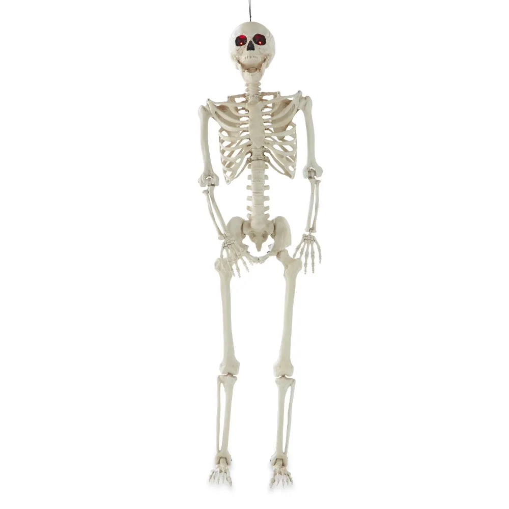 

Halloween Plastic Posable Skeleton with Light-Up Eyes Decoration, Bone Color, 60 in, 3.5 lbs Outdoor Holiday Decorations