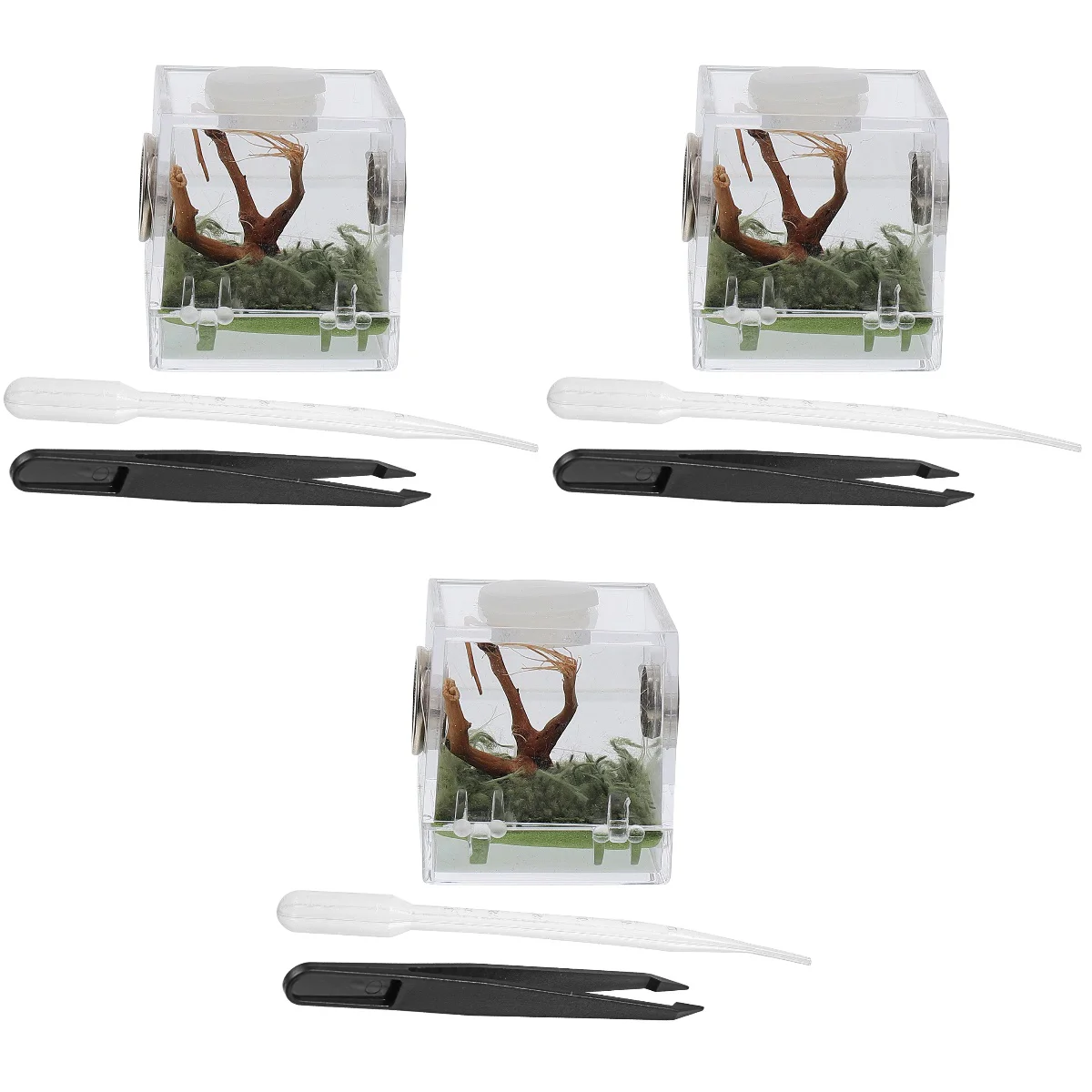 

Reptile Box Breeding Tank Feeding Container Amphibian Hatching Geckos Raising Snaketerrarium Habitat