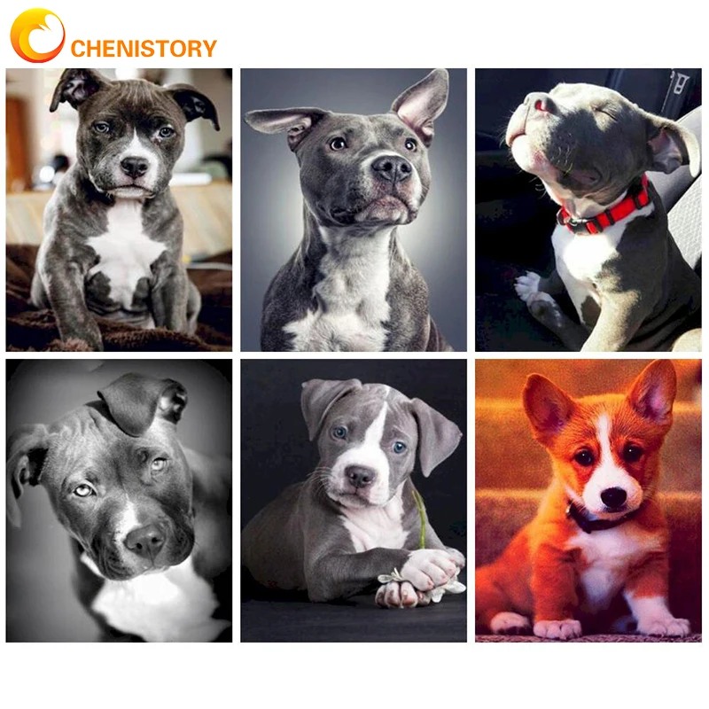 

CHENISTORY Paint By Numbers Animal Dog DIY 40x50cm Frame Oil Painting By Numbers On Canvas Digital Hand Painting For Home Decor
