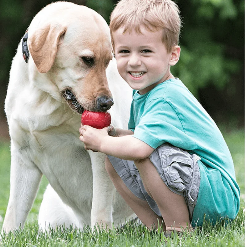 

KONG All series And All Size For Puppy Wobbler Dog Cat Toy Of Flyer Tires Durable Natural Rubber Fun to Chew Chase and Fetch