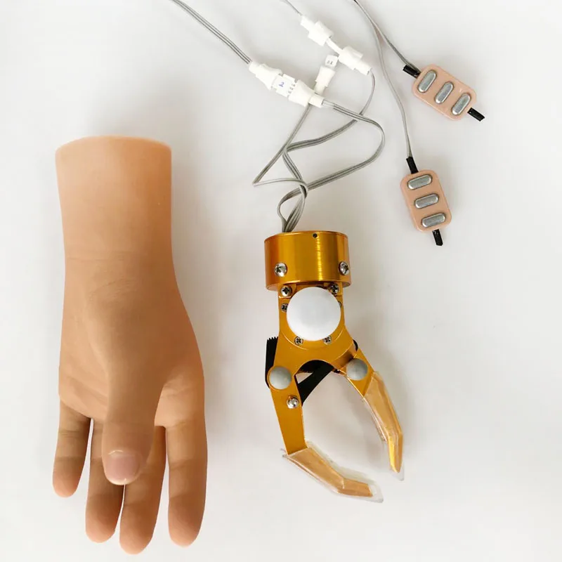

Artificial Limbs Upper Limb Hand Prosthesis Myoelectric Control Prosthetic Hand