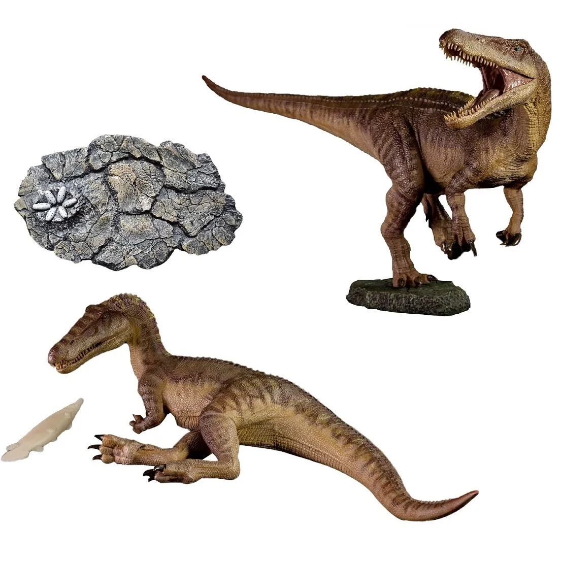

2 шт./компл. Nanmu Baryonyx Santiago Calypso для мальчиков цвет КОРИЧНЕВЫЙ версия