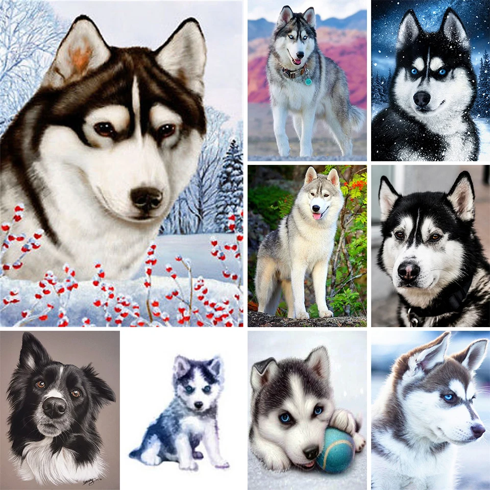 Набор для алмазной вышивки Хаски картина из страз 5D сделай сам с изображением