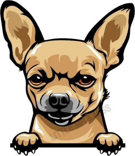 

For Chihuahua Peeking Dog Fawn Colour Window Wall Laptop Mug Sticker w/proof