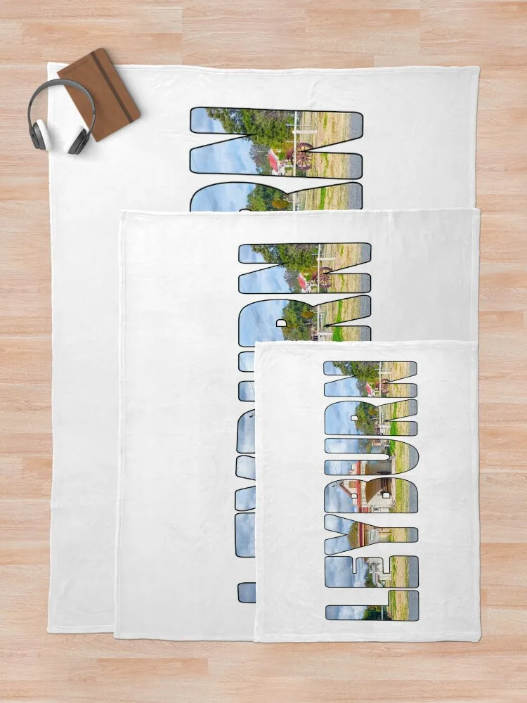 LEYBURN-QLD Country Historic Old Butcher Shoppe плед кровать модное для дивана рождественские