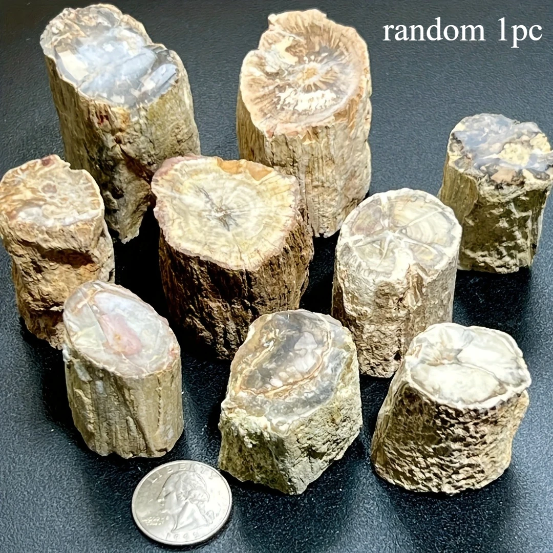 

Искусственный нефритовый деревянный дисплей из окаменелого дерева