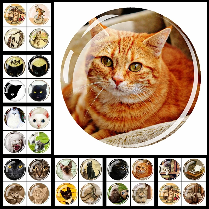 

ZYLTD Cute Cat Statement Fridge Magnet Charms Animal Refrigerator Magnets 4PCS/set Glass Cabochon Decoration Stickers Home Decor