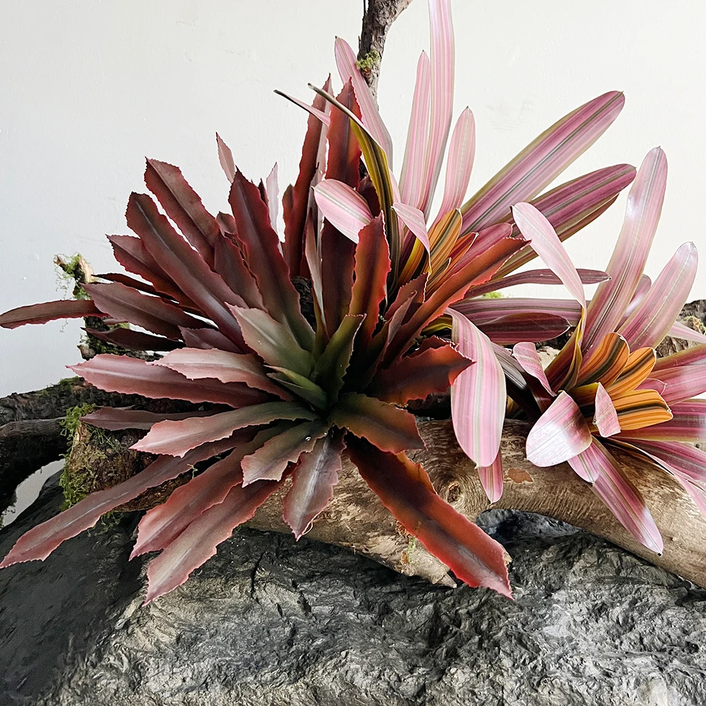 Искусственный Bromeliad Агава Листья Картина Маслом Поддельные Зеленые Украшения