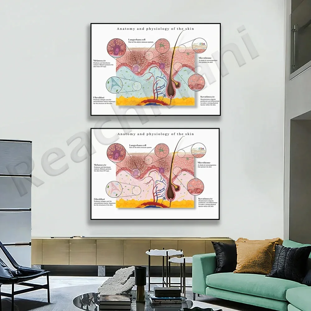 Тотомическая кожа графическая знакомство медицинский подарок