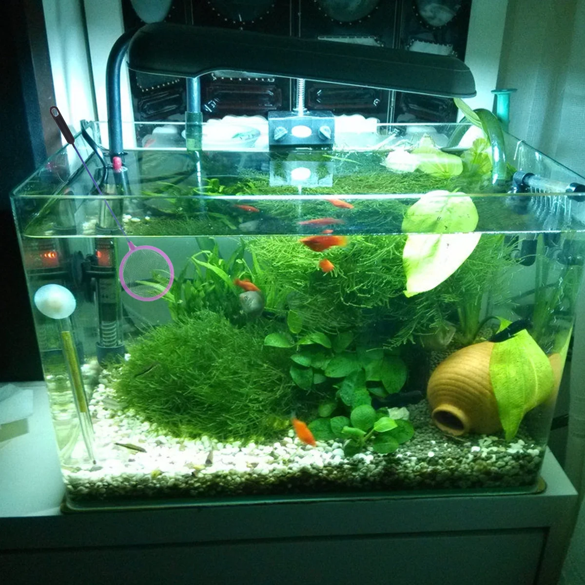 

Net Fish Aquarium Goldfish Mini Tank Quick Catching Outdoor Bett Catch Shrimp Landing Cleaning Bowl Small Kids