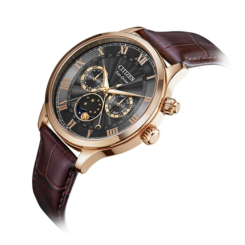 Мужские часы CITIZEN Eco-Drive Elegant Star Moon Blue Disc со стальным ремешком мужские AP1059-19E