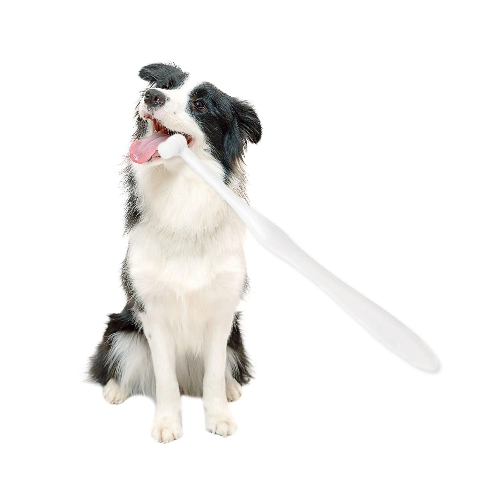 

Pet Toothbrush ABS Handle Cat Toothbrushes Puppy Dogs Pet Tooth Cleaning Kit Brush Away Bad Breath