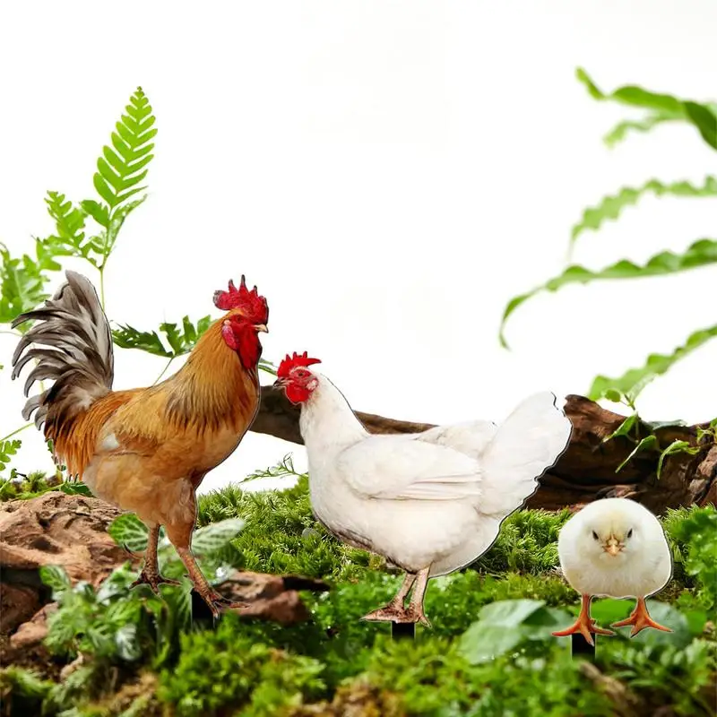 

Chicken Yard Art Stakes Chicken Shape Sculpture Statue Ornament Chicken Family Acrylic Statue Decor Accessories Yard Outdoor