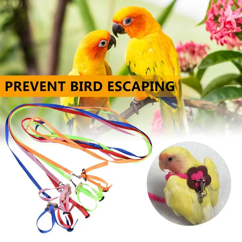 

Bird Harness Adjustable Parrot Leash With Anti-bite Design For Outdoor Activities Training Anti-Bite Training Rope Parrot Vest