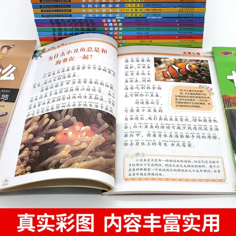 Рисунок 4 - китайская Детская энциклопедия