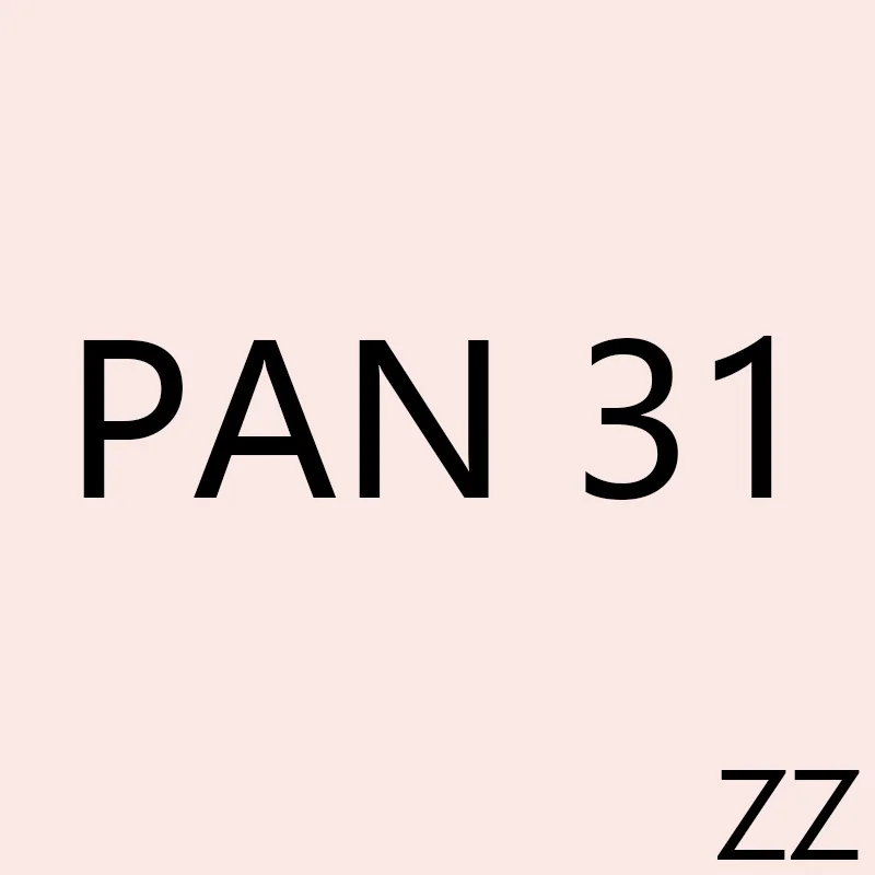 

PAN ZZ 31