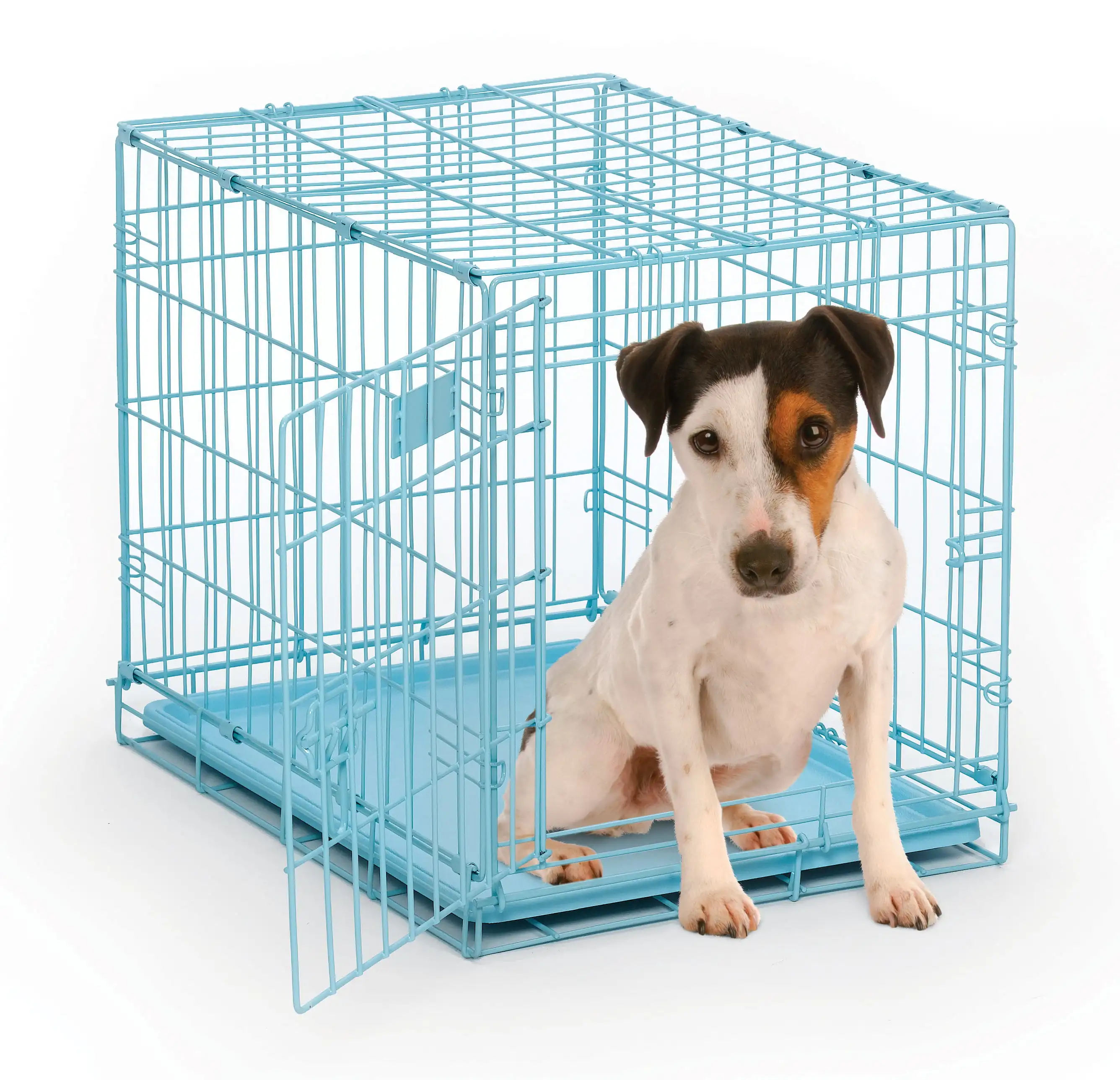 

Crate | Newly Enhanced MidWest iCrate XXS Folding Metal Dog Crate | Divider Panel, Floor Protecting Feet, Leak-Proof Dog Pn | ,