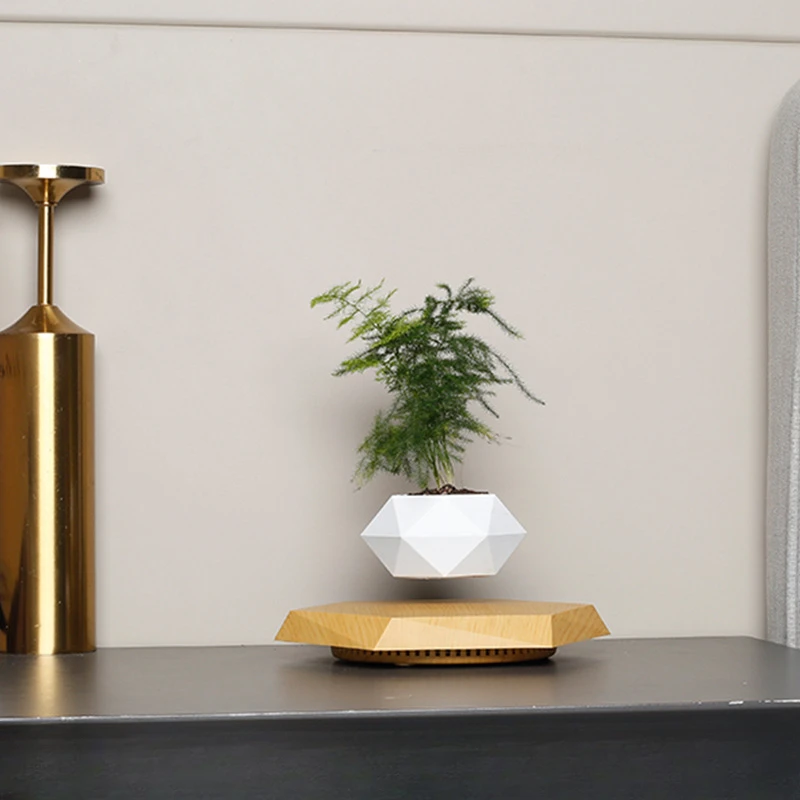 Горшечное растение maglevu цветочный горшок креативный бонсай подарки ручной