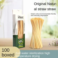 100200300pcs disposable straw straw environmental protection straw beverage straw holiday party tableware supplies