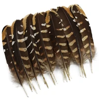 20pcslot natural eagle pheasant feathers for crafts 12 18cm chicken feather crafts handicraft dream catcher manmade decorations