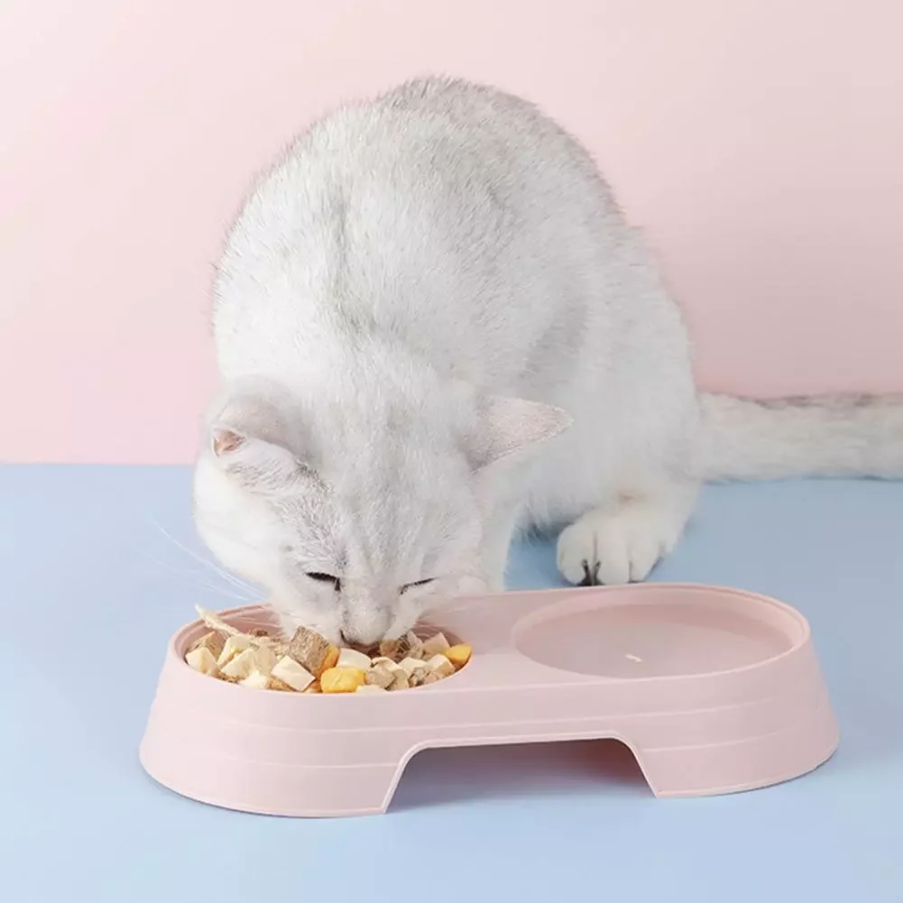 

2022New Dog Bowls Cat Puppy Feeder Water Feeder Bowl PP Candy Solid Color Pet Dog Cat Puppy Feeder Double Bowl Water Food Holder