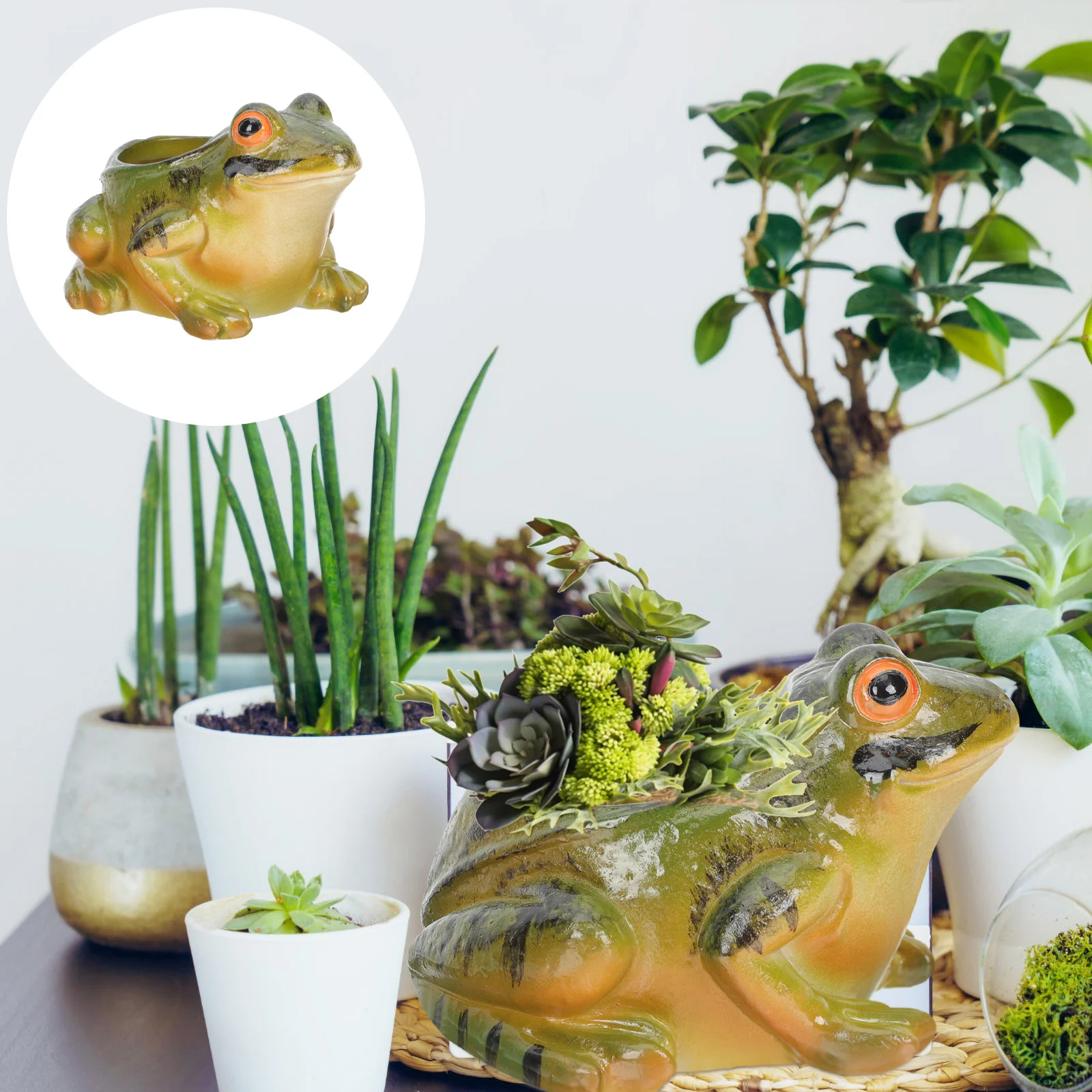 

Succulent Pot Pots Flower Frog Planter Home Ceramic Modern Decor Mini Animal Bonsai Planters Decorative Container Indoor Cute