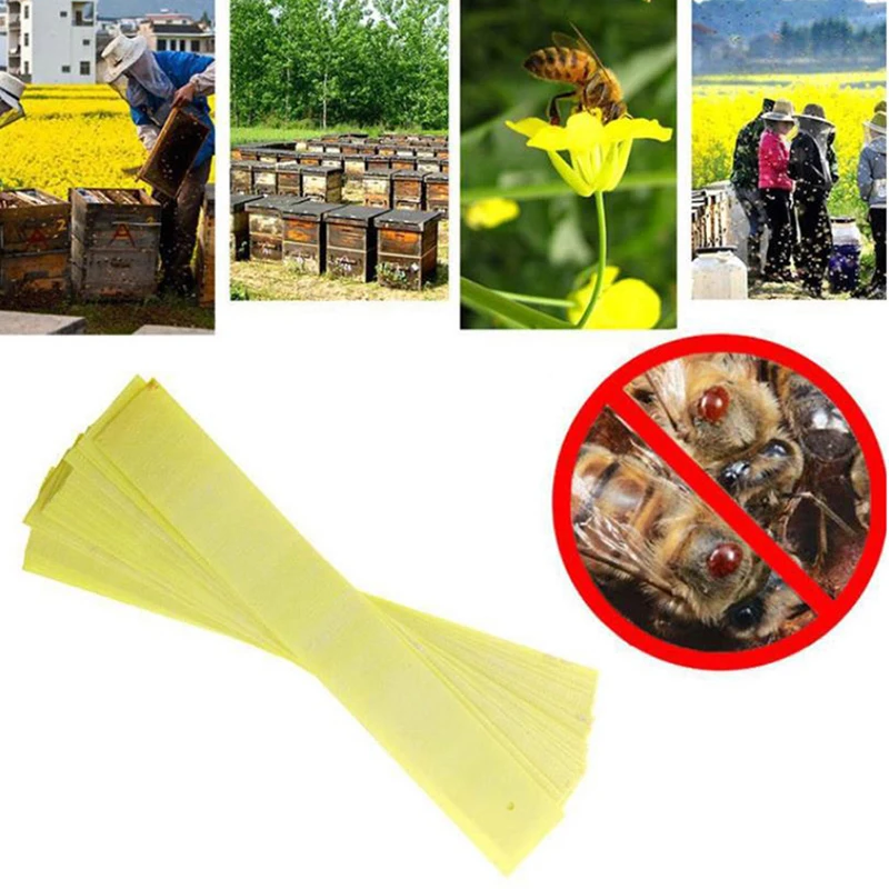 

Fluvalinate Strip Bee Mite Medicine Strip Bee Mite Acaricide Beekeeping Tool