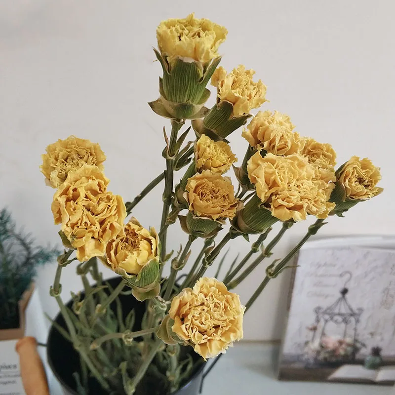 10 шт. Натуральные сушеные цветы |