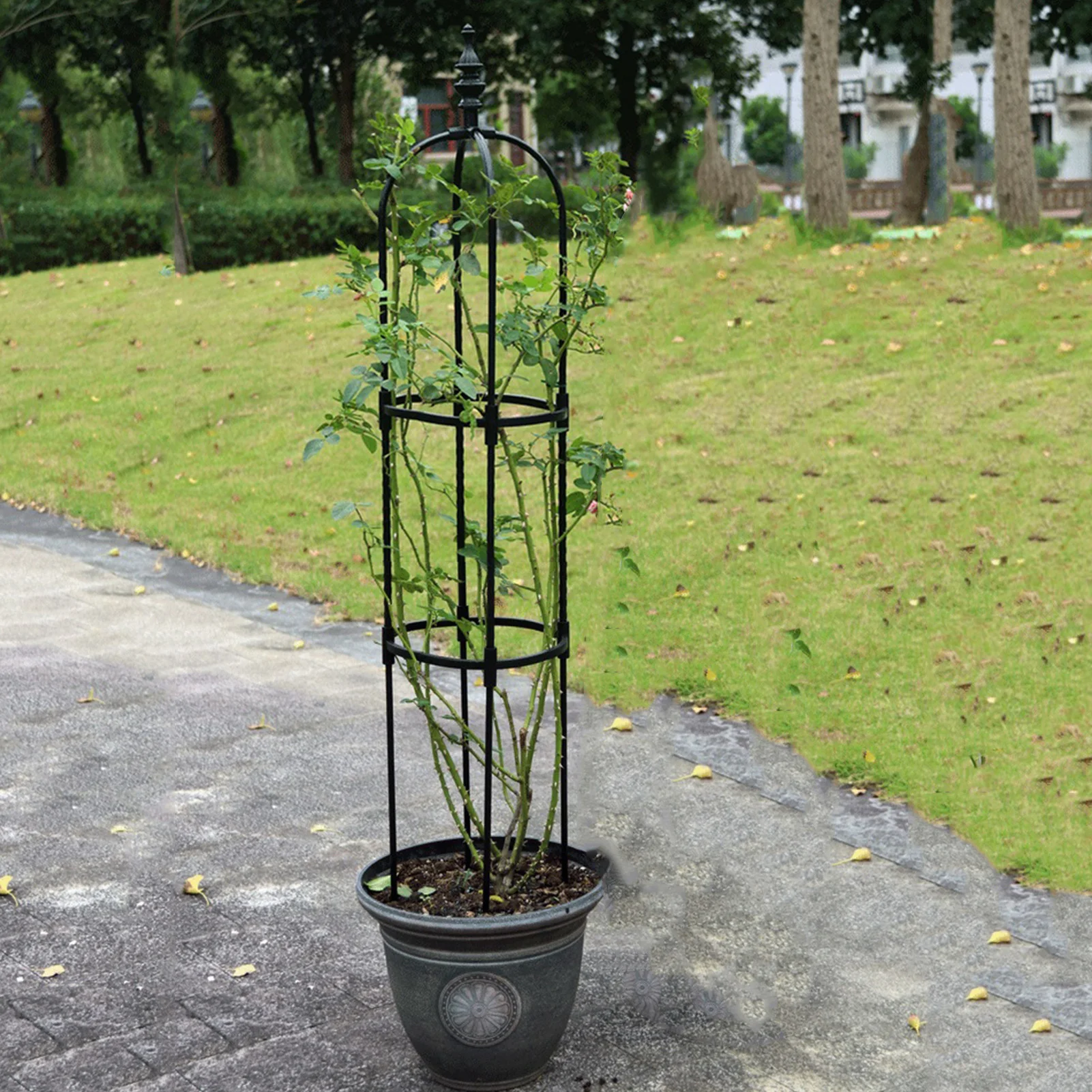 1PC Iron Garden Obelisk Climbing Plant Flowers Steel Frame Trellis Vines Floral Decor Yard Round Weather-Proof Brand