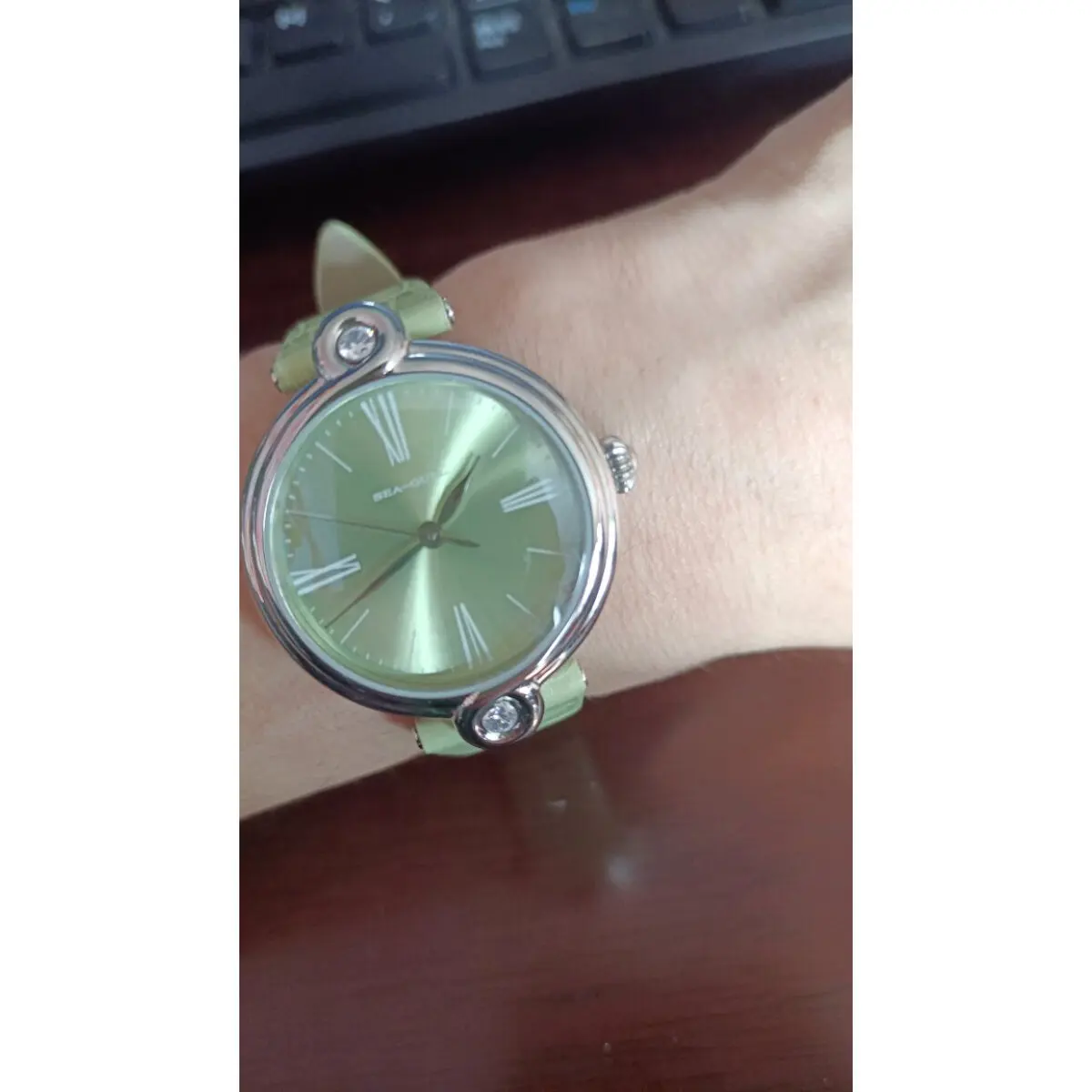 Фото Женские часы Seagull Möbius Design водонепроницаемые 50M Luxury Machinery Женские часы Reloj Mujer 1043L №4