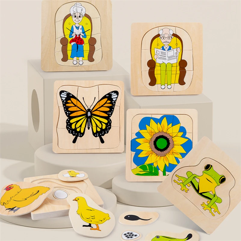 

Montessori Toys Life Cycle Matching Puzzle Learning Eudcation Toys For 3 Year Olds Teaching Aid Christmas Gift G44Y