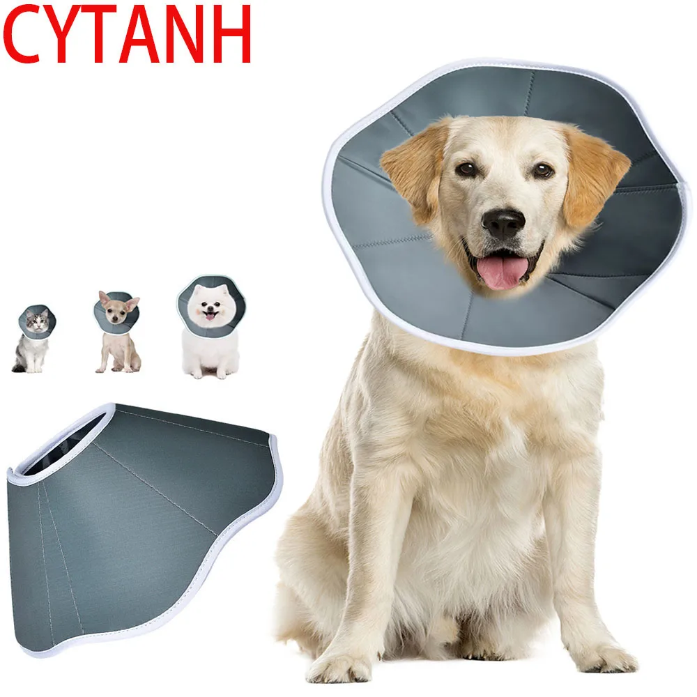 

Cone Recovery Cone Collar for Anti-Bite Lick Surgery Wound Healing Cat Dogs Health Medical Circle Collar Dog Neck Pet Protective