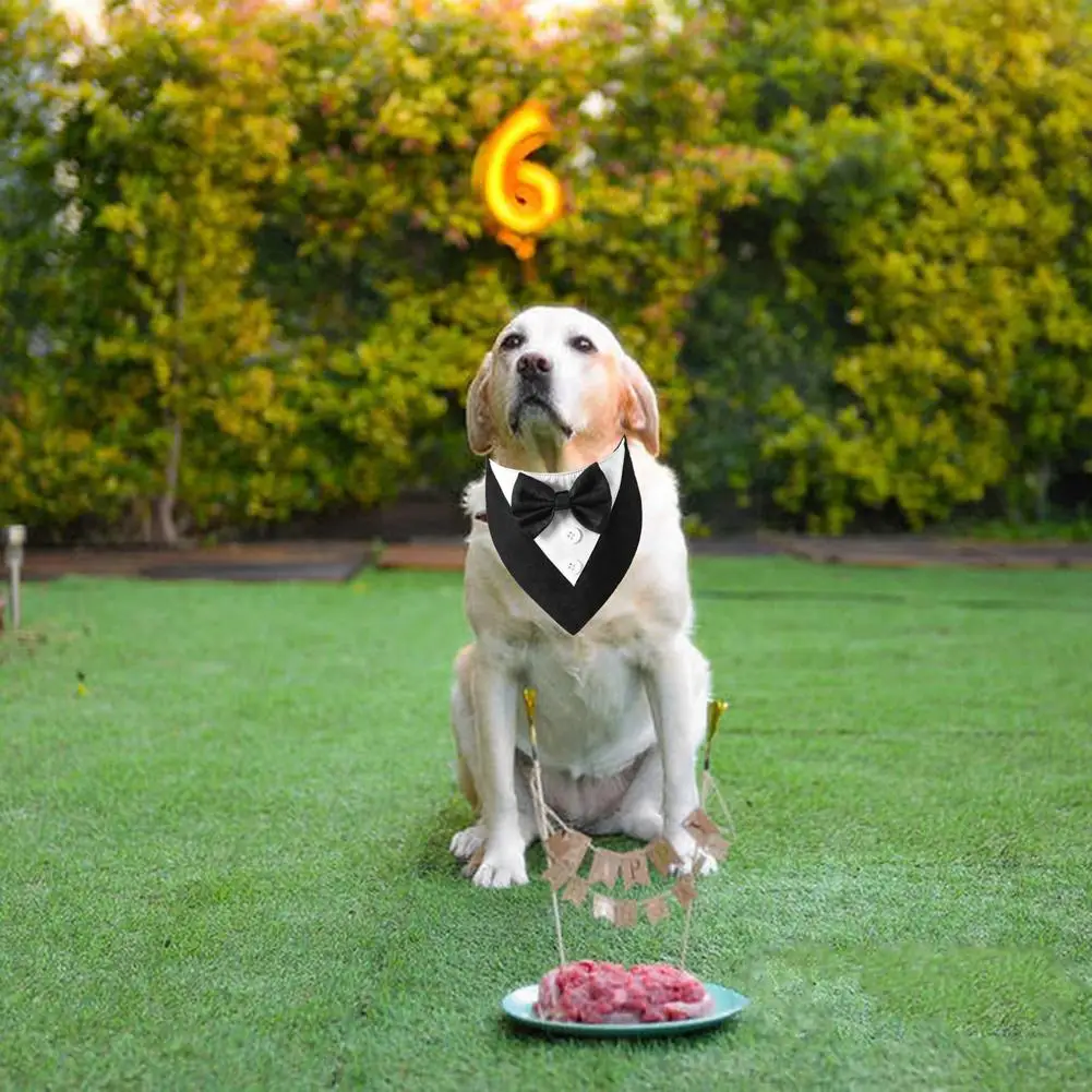 

Pet Triangle Scarf Bandana With Bowtie Adjustable Birthday Costume Formal Outfit For Medium Large Dogs Grooming Accessories