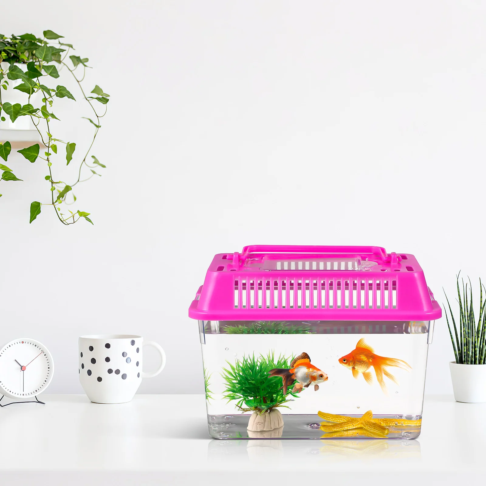 4 шт. мини портативный аквариум рептилия черепаха пластиковый краб прозрачная