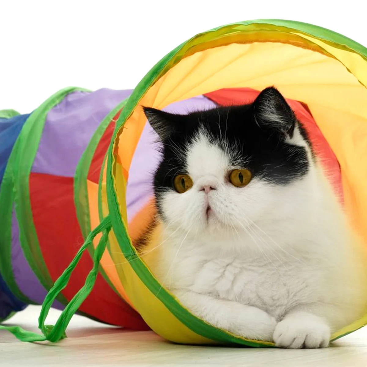 Туннель для кошек с 4/3/2 отверстиями забавные Складные Игрушки котят