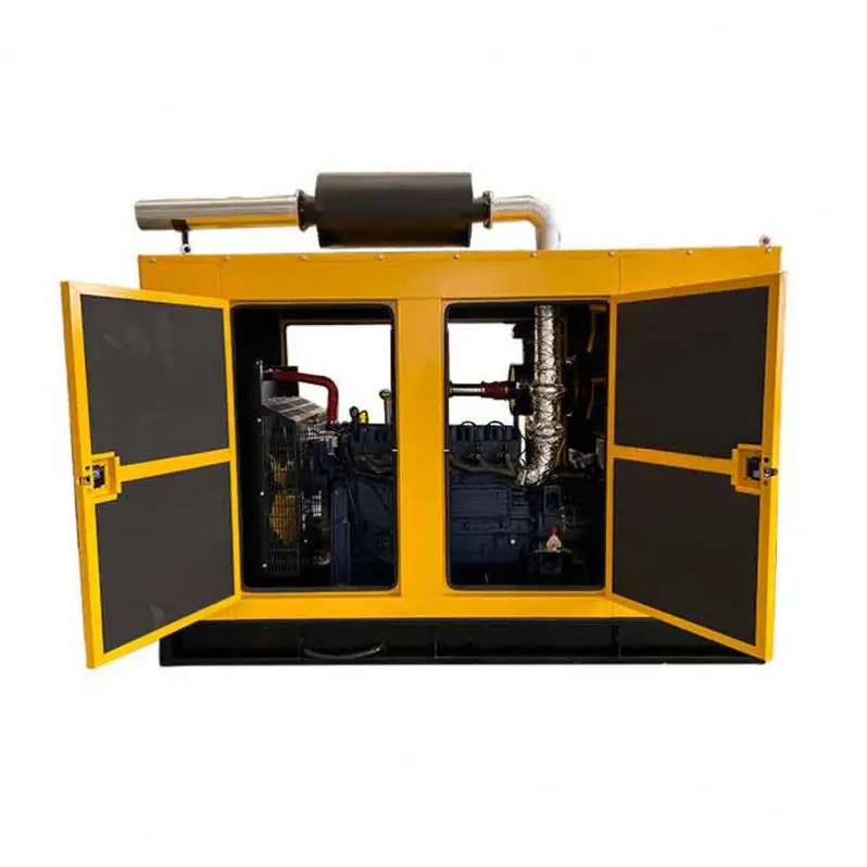 Оптовая продажа индивидуальный генератор биогаза хорошего качества 16 кВт CHP