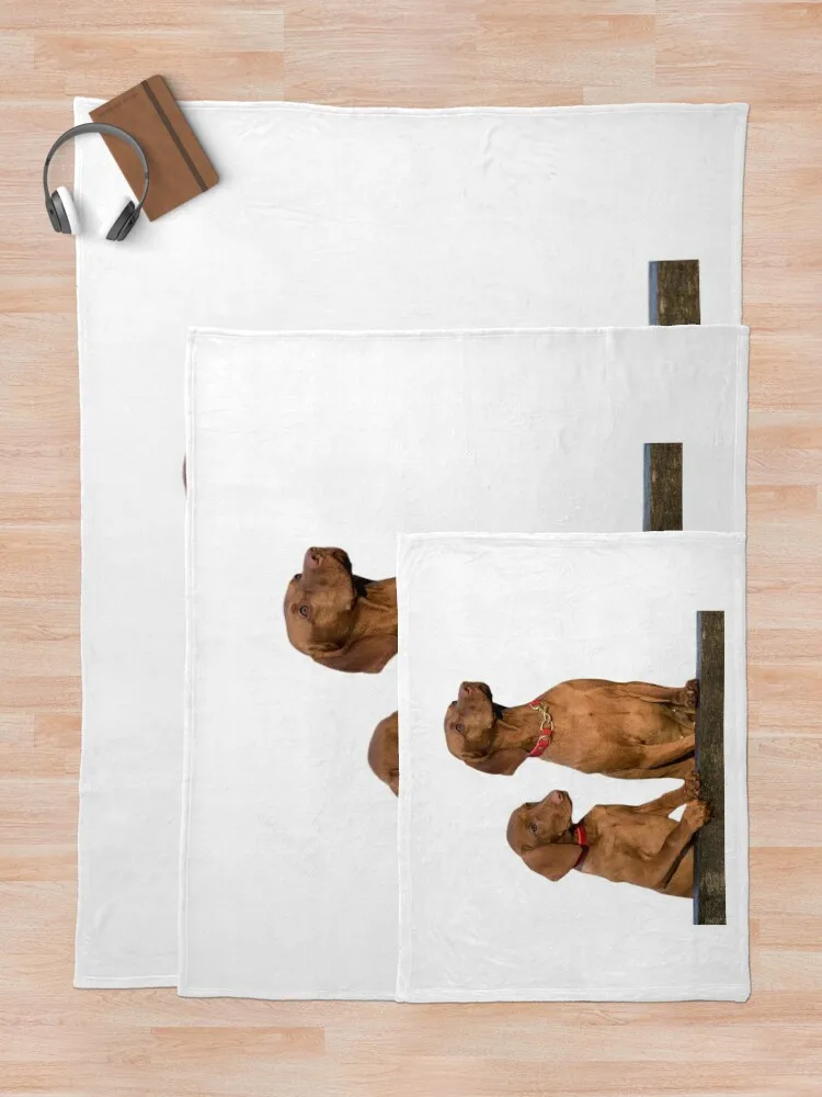 Декоративное одеяло с изображением собак Viszla