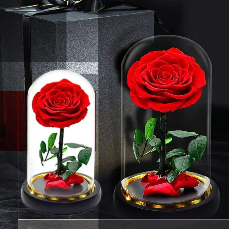 

Artificial Eternal The Beast Beauty Rose Eternelle Flower In Glass Dome LED Christmas Mother's Birthday Valentines Day Gift