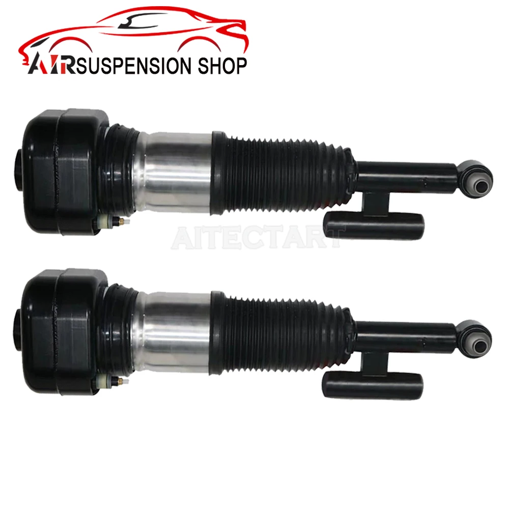 Рисунок 2 - Передний/задний амортизатор пневматической