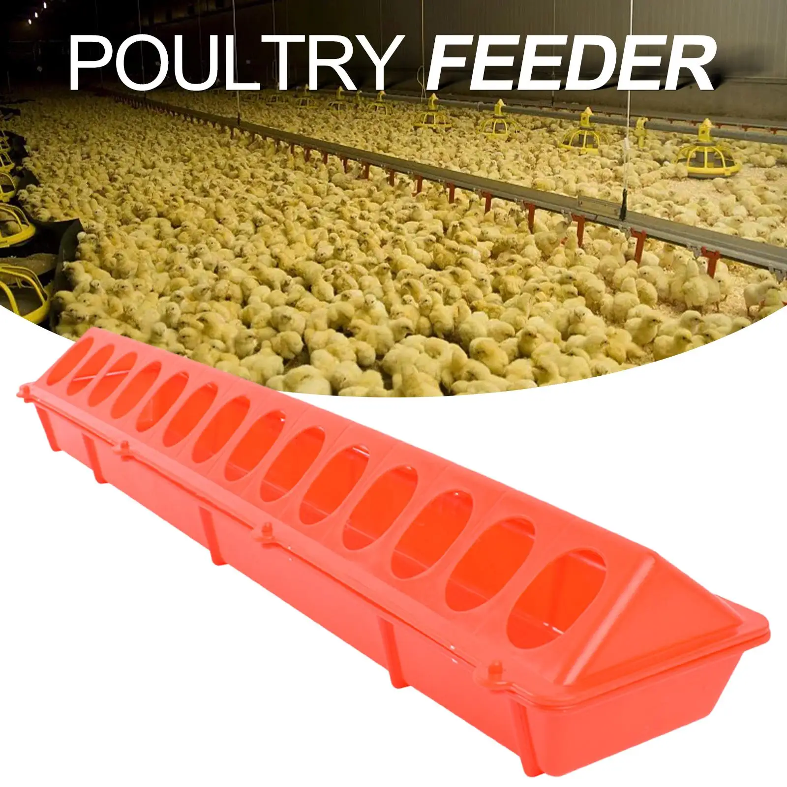 Bird Feeding Long Trough Waterer Food Dispenser
